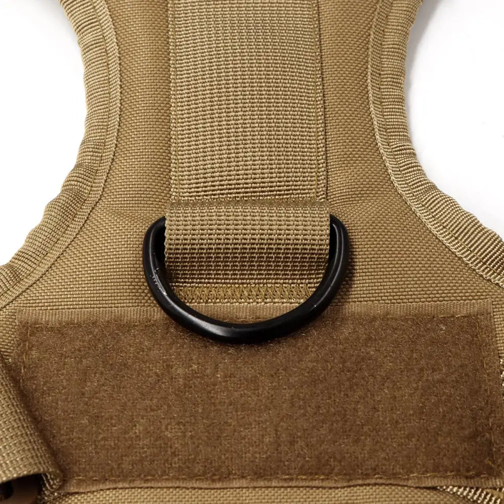 Large Dog Harness And Leash Set