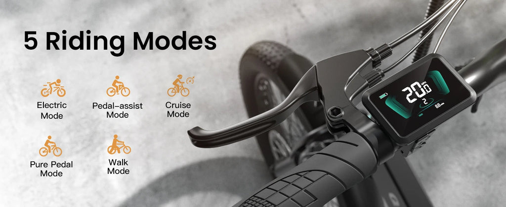 Folding Electric Bike 1000W Peak 48V  E-Bike