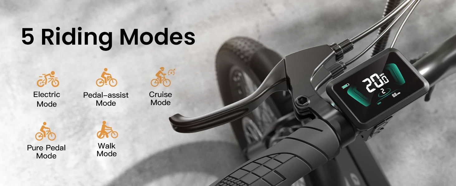 Folding Electric Bike 1000W Peak 48V  E-Bike