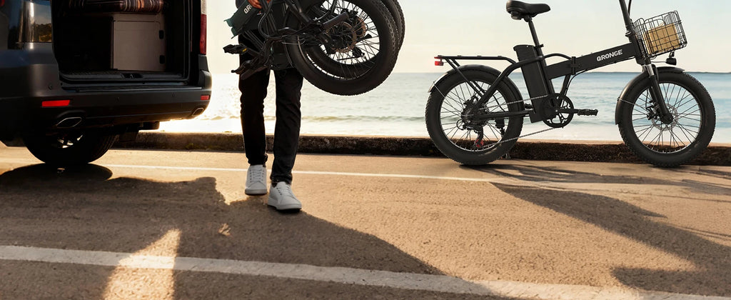 Folding Electric Bike 1000W Peak 48V  E-Bike