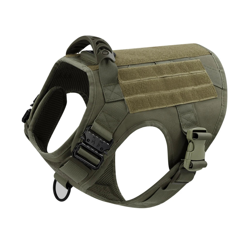 Large Dog Harness And Leash Set